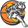 WillettonTigersWomen