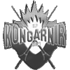 Kongarnir